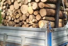 Material lemnos fără documente confiscat la Văculești
