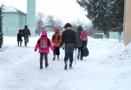 IŞJ Botoşani cere unităţilor de învăţământ să-şi reia cursurile