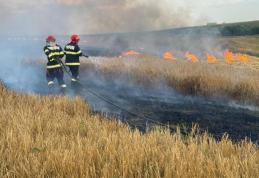 ISU Botoșani: Campanie de recoltare a cerealelor, fără incendii