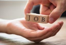 Locurile de muncă vacante la nivelul județului Botoșani