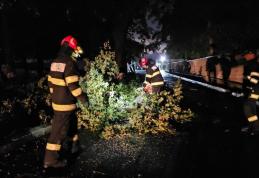 Copaci doborâți și inundații în urma fenomenelor meteo periculoase din ultimele ore - FOTO