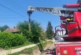 Pui de barză rămas captiv pe un stâlp din Corlăteni salvat de pompierii dorohoieni - FOTO