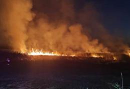 Trei incendii de vegetație uscată izbucnite în ultimele ore în județ. Zeci de hectare de stuf și copaci au ars