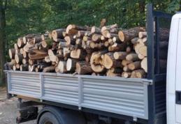 Tânăr din Darabani depistat în timp ce transporta material lemnos fără documente legale