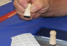 Alegerile locale, propuse pentru ziua de 10 iunie de coaliție