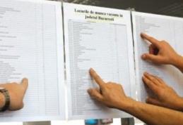 AJOFM: 43 de locuri noi de muncă pentru șomeri 