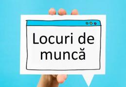 Locuri de muncă vacante la sfârșitul lunii iulie, în Județul Botoșani