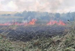 Pompierii au intervenit la trei incendii de vegetație în ultimele ore - FOTO