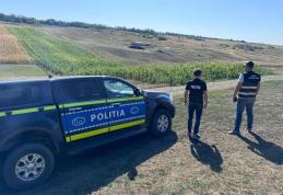 Acțiune pentru siguranța cetățenilor la Dorohoi