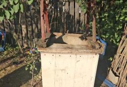 Bărbat salvat după ce a căzut într-o fântână adâncă de nouă metri