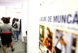 Locurile de muncă vacante la nivelul județului Botoșani la 23 septembrie