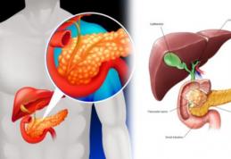 Pancreasul tău ar putea fi vinovat de kilogramele în plus