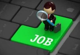 Peste 600 de locuri de muncă vacante la nivelul județului Botoșani