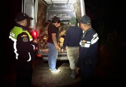 Material lemnos confiscat de polițiștii din Bucecea