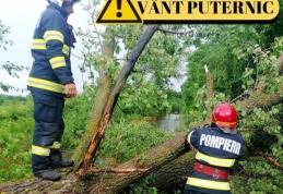 Cod galben de vânt pentru județul Botoșani
