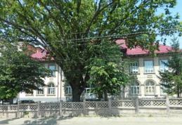 SC CONTED SA Dorohoi angajează secretară, referent tehnic și călcător