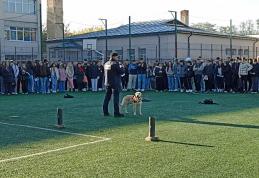 Activități cu impact desfășurate la Liceul „Regina Maria”, Dorohoi, în cadrul Programului Național „Săptămâna Verde” - FOTO