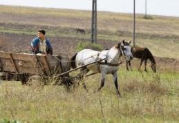 Taxa pentru pământul nelucrat va fi prezentă din această primăvară