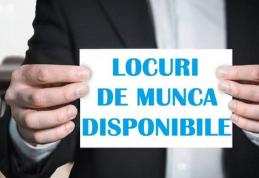 Locurile de muncă vacante la nivelul județului Botoșani luni 25 noiembrie