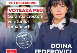 Doina Federovici: Investiții semnificative în cultura botoșăneană - FOTO