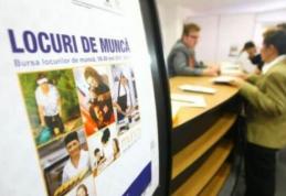 Locuri de muncă vacante și programe de formare pentru care se organizează înscrieri în săptămâna 9-15 decembrie la Botoșani