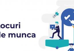 Locuri de muncă vacante și programe de formare pentru care se organizează înscrieri în săptămâna 16-22 decembrie la Botoșani