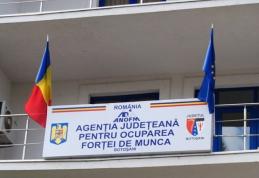 Peste 3.500 de persoane angajate prin intermediul AJOFM Botoșani, în perioada ianuarie - noiembrie 2024