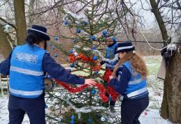 Jandarmii au dăruit și au împodobit un brad de Crăciun pentru o familie din județ cu posibilități financiare reduse - FOTO