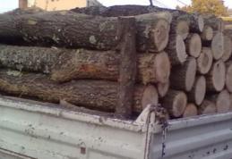 Material lemnos confiscat la Bucecea