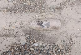 Element de muniție în perfectă stare de funcționare descoperit într-o pădure din Horlăceni