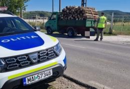 Acțiunile pentru prevenirea și combaterea tăierilor ilegale de arbori continuă în județul Botoșani