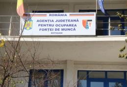 Peste 3.700 de persoane angajate prin intermediul AJOFM Botoșani, în anul 2024