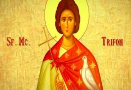 SINAXAR – 1 Februarie – Sf. Mc. Trifon; Sf. Mc. Perpetua şi Felicitas