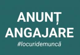 Patronii care au nevoie de angajați sezonieri se pot adresa autorității locale în scris
