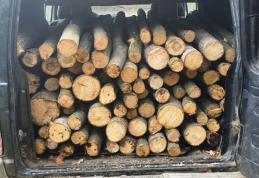 Material lemnos confiscat la Ibănești