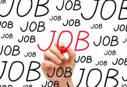 Locuri de muncă vacante și programe de formare pentru care se organizează înscrieri în săptămâna 3-9 februarie la Botoșani