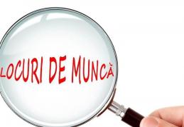 Locuri de muncă vacante și programe de formare pentru care se organizează înscrieri în săptămâna 10-16 februarie la Botoșani