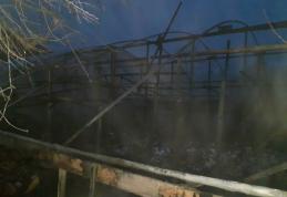 Incendiu la un solar din Săveni. Acesta și cinci tone de lemne au fost distruse de foc