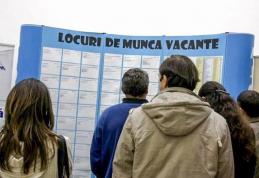 Peste 260 persoane angajate prin intermediul AJOFM Botoșani, în prima lună a anului 2025
