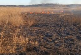 Două incendii de vegetație uscată la Văculești și Carasa ținute sub control de pompierii dorohoieni
