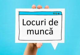 Peste 450 de locuri de muncă vacante la nivelul județului Botoșani