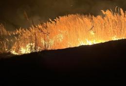 În ultimele ore, pompierii au intervenit pentru stingerea a cinci incendii de vegetație uscată
