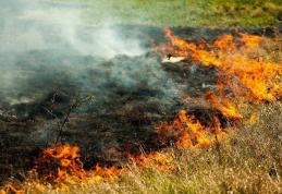 Fermieri sancționați pentru incendierea de terenuri agricole