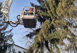 Cod Galben de vânt: Pompierii botoșăneni au intervenit în două situații de urgență