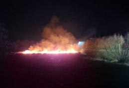 Trei incendii de vegetație la Dorohoi, Suharău și Ripiceni în ultimele 24 de ore