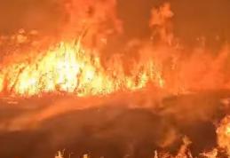 Pompierii au intervenit pentru stingerea a trei incendii de vegetație uscată, stuf și crengi uscate
