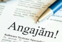 Vezi locurile de muncă vacante la nivelul județului Botoșani!