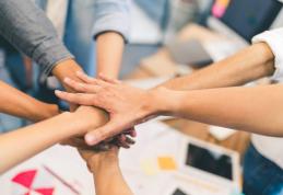 Informații pentru angajatori cu privire la prevederile legii privind dialogul social
