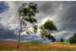 Meteorologii au emis o atenționare tip cod galben de intensificări ale vântului pentru județ