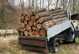 Material lemnos confiscat de polițiști la Ibănești
